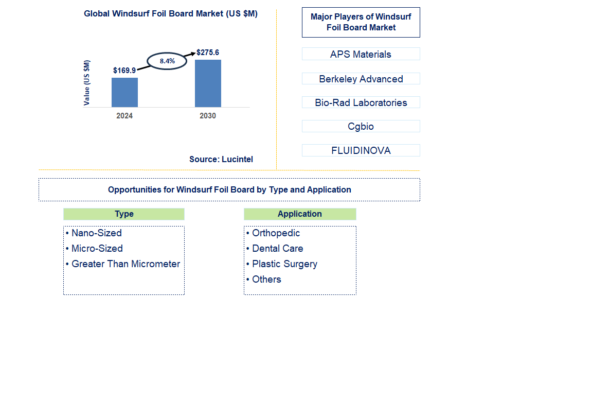 Windsurf Foil Board Trends and Forecast